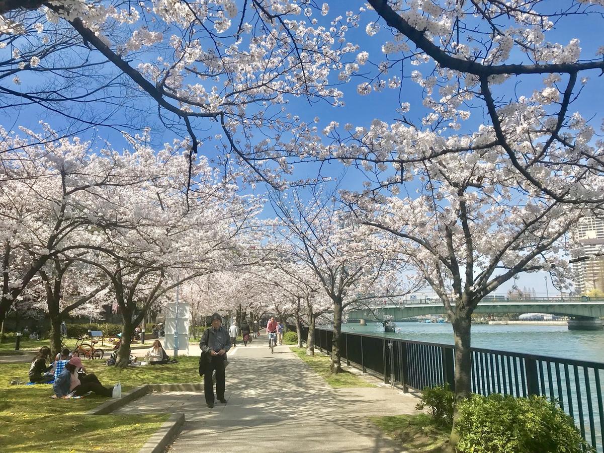 Raku Hostel Osaka Dış mekan fotoğraf